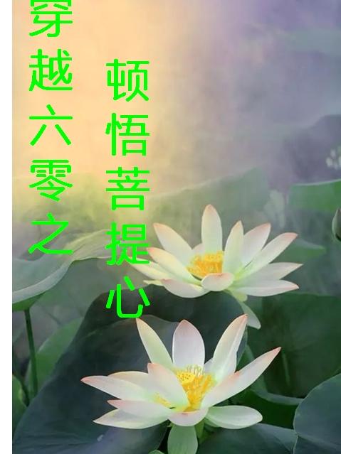 穿越六零之顿悟菩提心